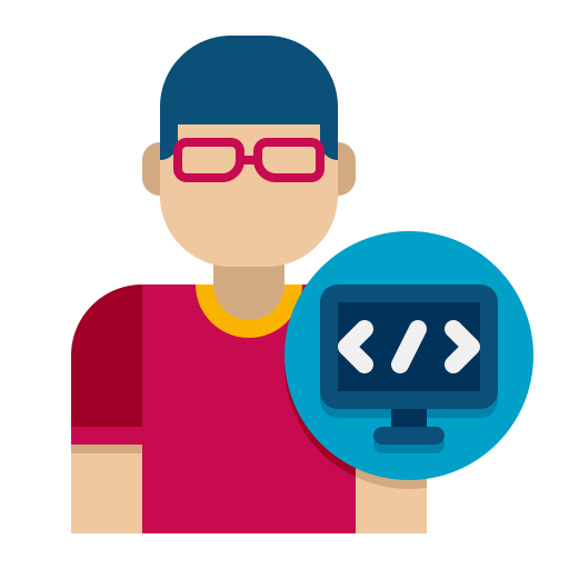Software Developer